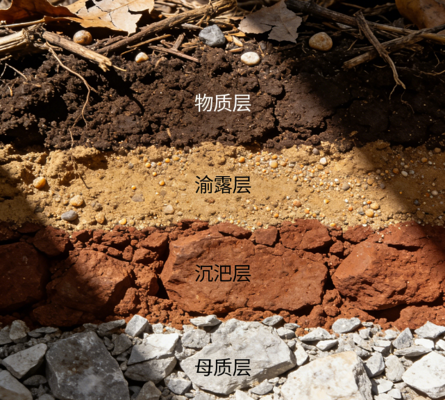 便攜式土壤重金屬測定儀精度能達到多少?行業(yè)標(biāo)準(zhǔn)及檢測要求